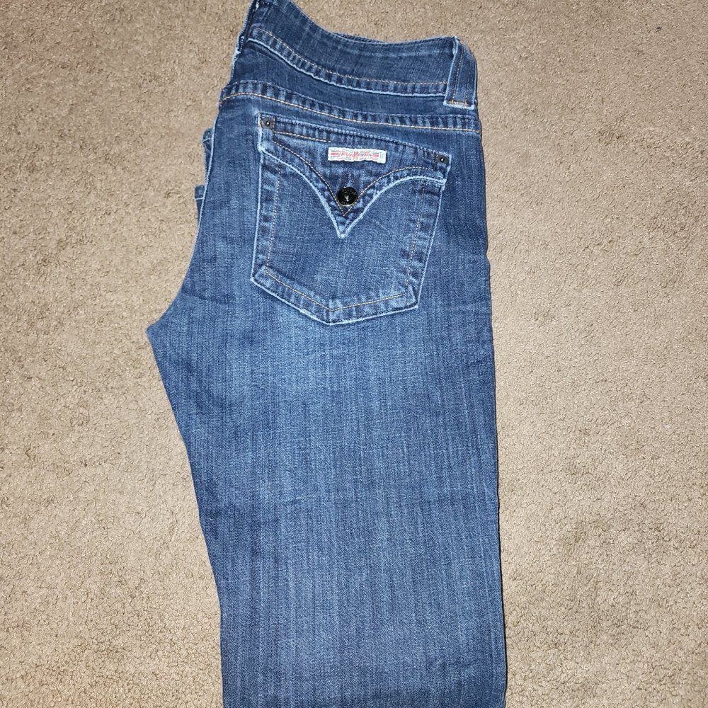 Hudson Flare jeans
